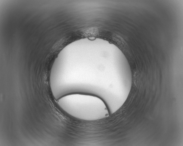 X0000060270714200510281035