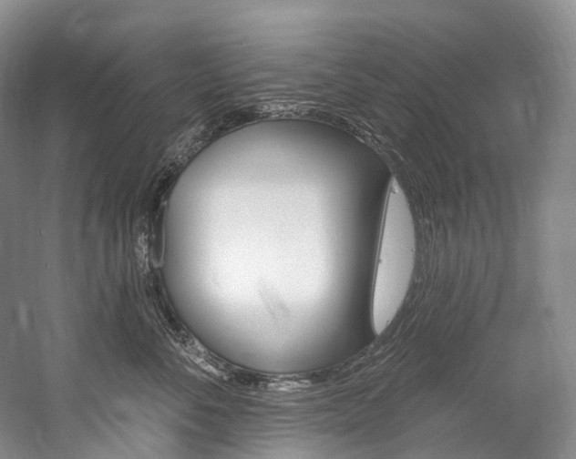 X0000060270716200510281035