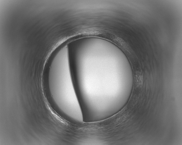 X0000060270726200510281034