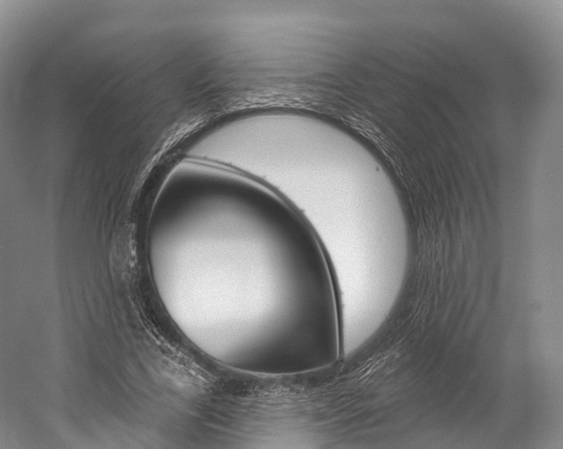 X0000060270731200510281034