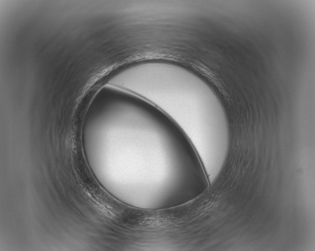 X0000060270732200510281034