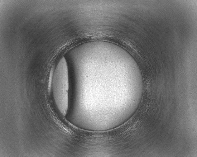 X0000060270733200510281034