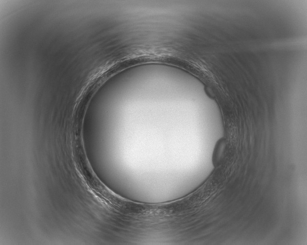 X0000060270736200510281034
