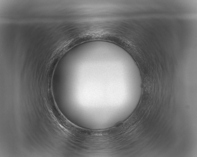 X0000060270740200510281034