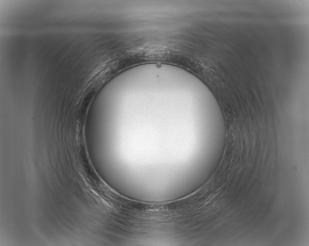 X0000060270744200510281034