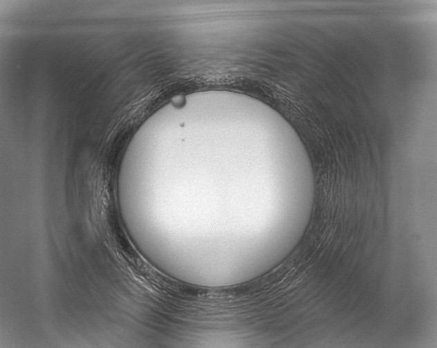 X0000060270746200510281034