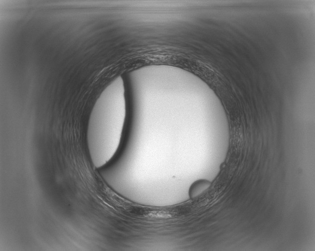 X0000060270749200510281035
