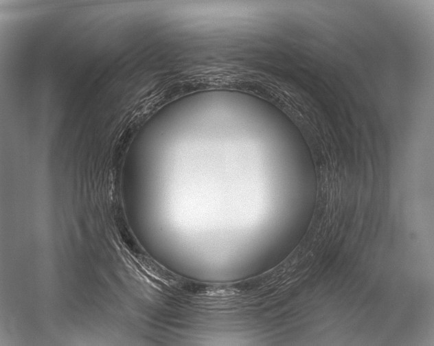 X0000060270752200510281035