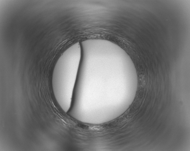 X0000060270753200510281035