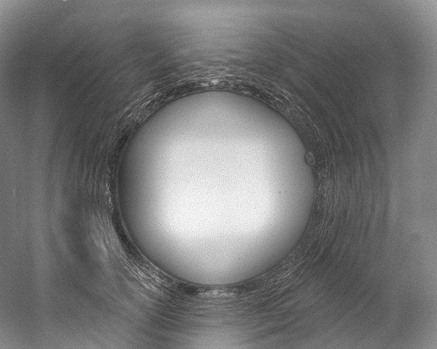 X0000060270754200510281035