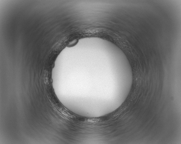 X0000060270758200510281035