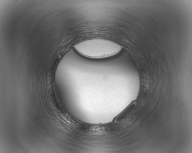 X0000060270760200510281035