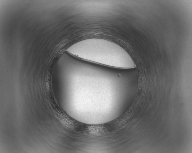 X0000060270762200510281035