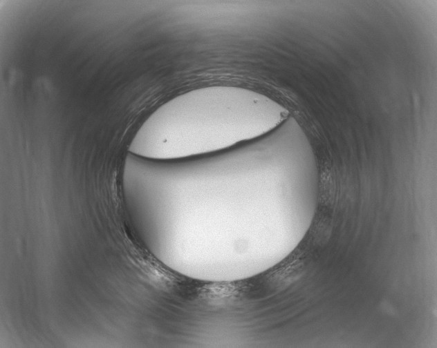 X0000060270765200510281035