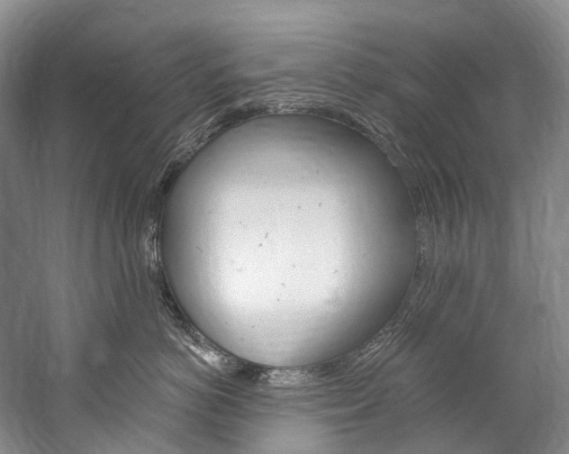 X0000060270766200510281035