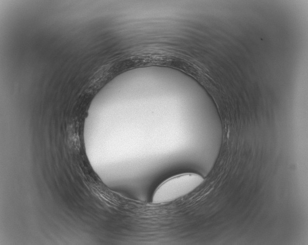 X0000060270771200510281034