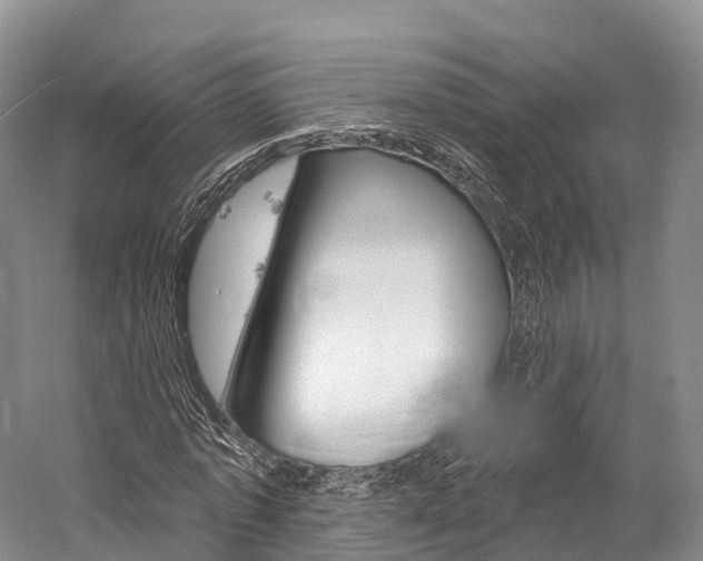 X0000060270773200510281034