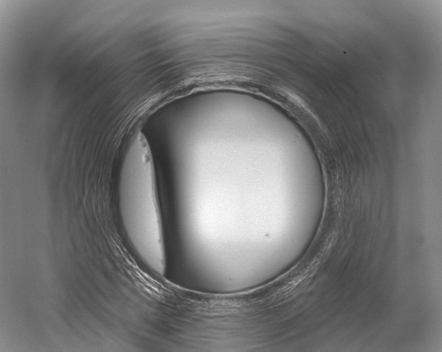 X0000060270777200510281034