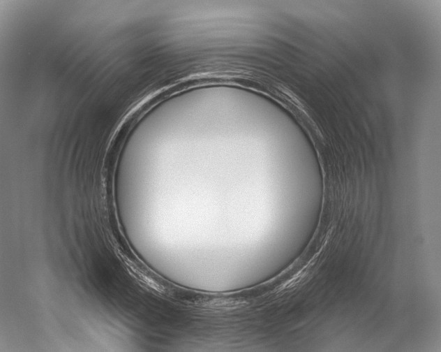 X0000060270779200510281034