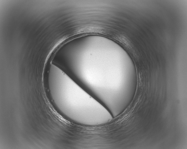 X0000060270780200510281034