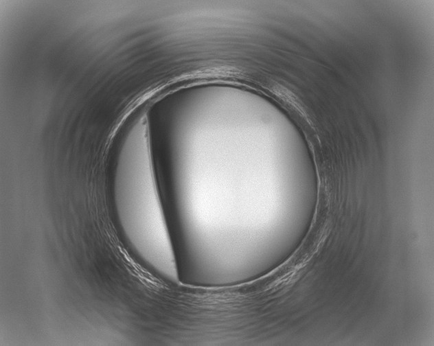 X0000060270781200510281034