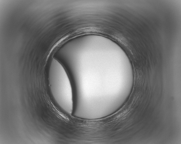 X0000060270782200510281034