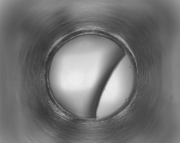X0000060270783200510281034