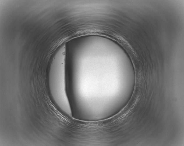 X0000060270785200510281034