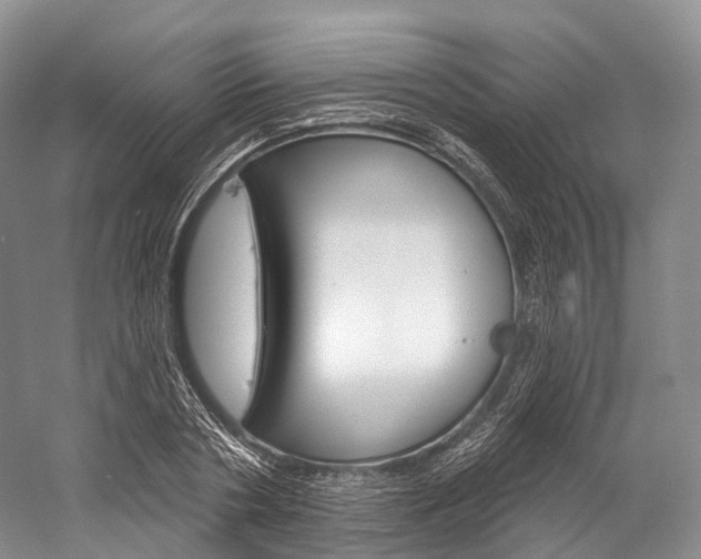 X0000060270786200510281034