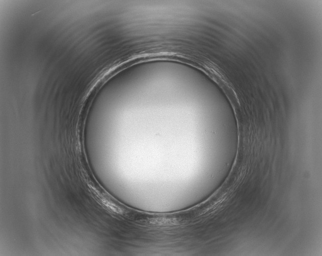 X0000060270789200510281034