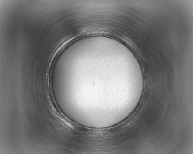 X0000060270790200510281034