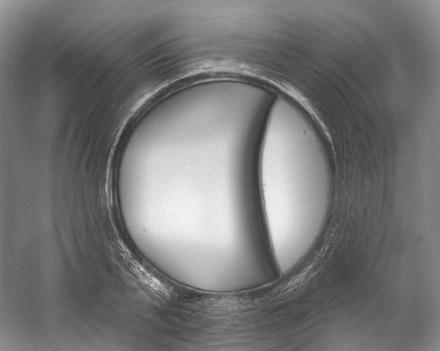 X0000060270791200510281034