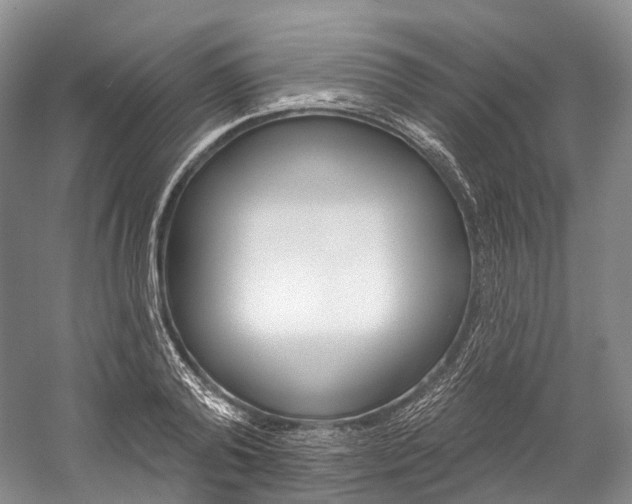 X0000060270792200510281034