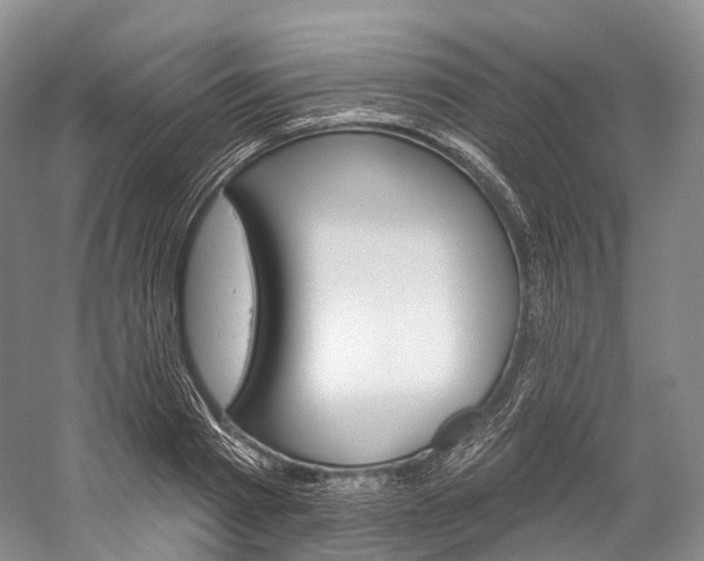 X0000060270793200510281034