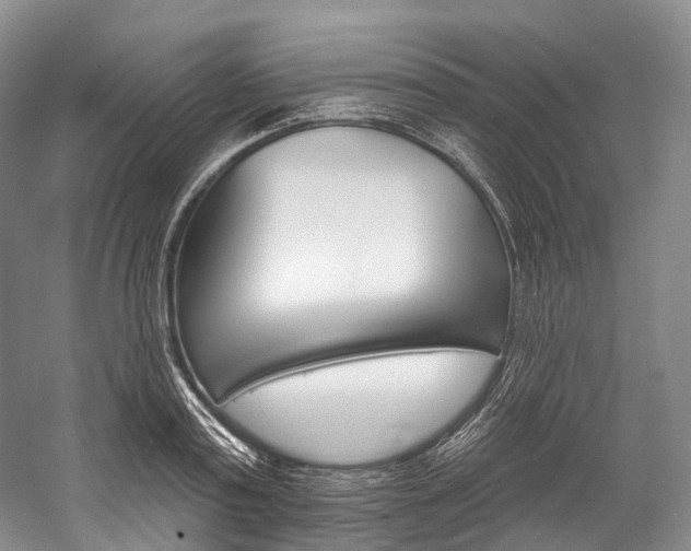 X0000060270795200510281034