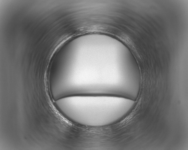 X0000060270798200510281034