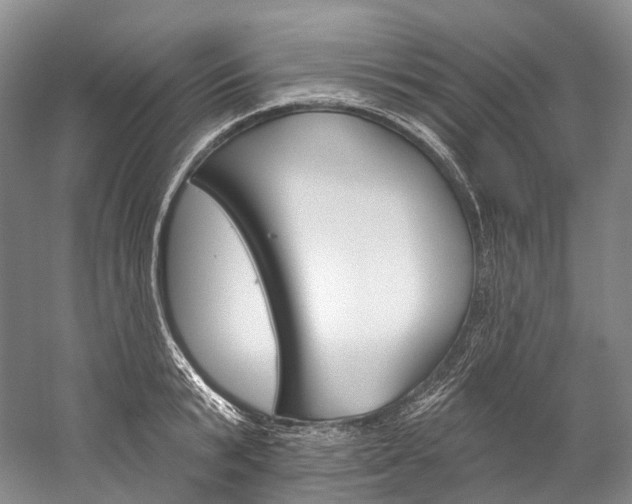 X0000060270799200510281034