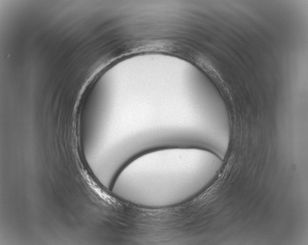 X0000060270800200510281034