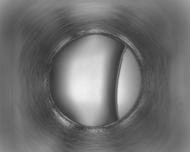 X0000060270801200510281033