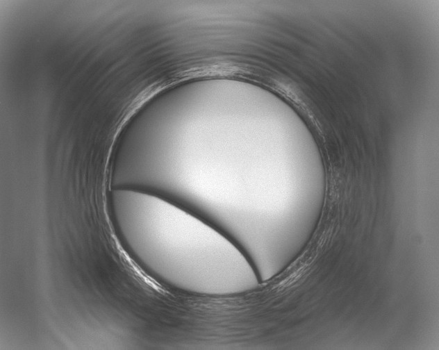 X0000060270802200510281033