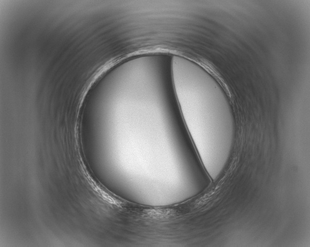 X0000060270805200510281033