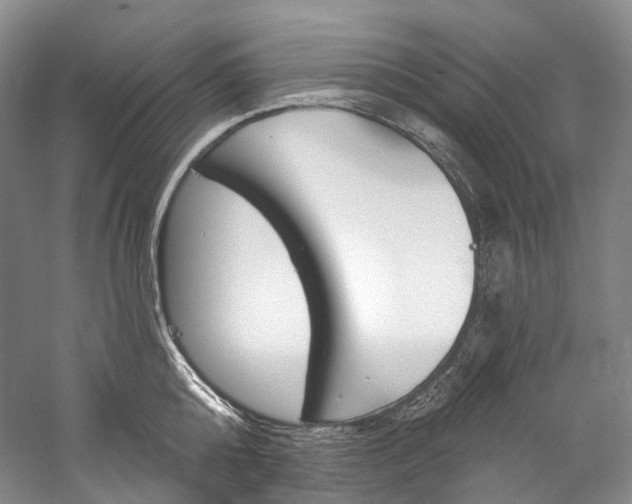 X0000060270808200510281033