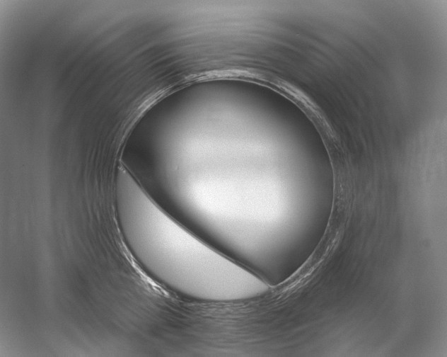 X0000060270809200510281033