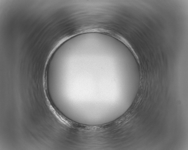X0000060270811200510281033