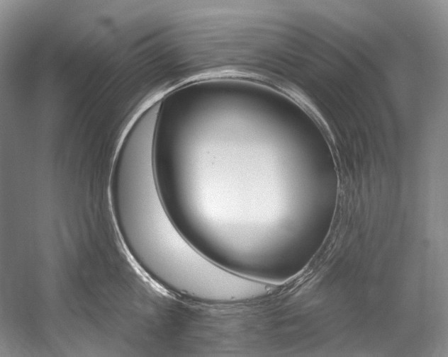 X0000060270813200510281033