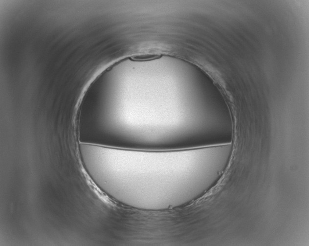 X0000060270816200510281033