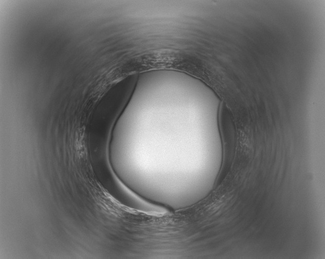 X0000060270818200510281032