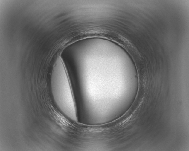 X0000060270825200510281033