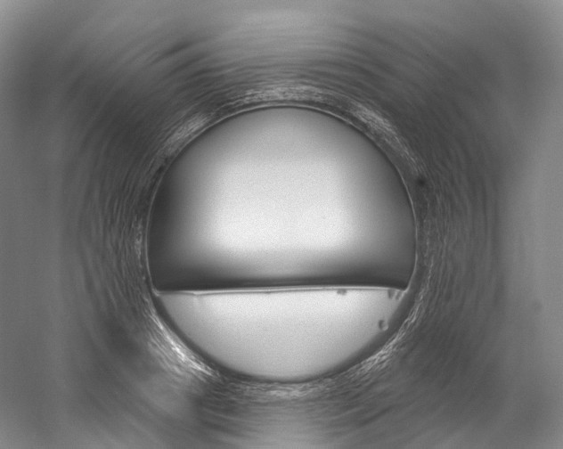 X0000060270841200510281033