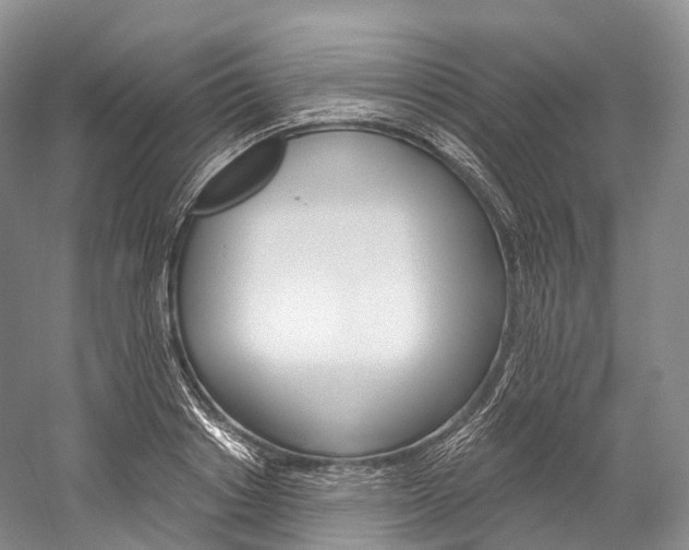 X0000060270842200510281033